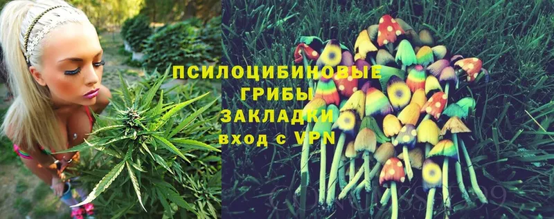 Псилоцибиновые грибы MAGIC MUSHROOMS  Лиски 