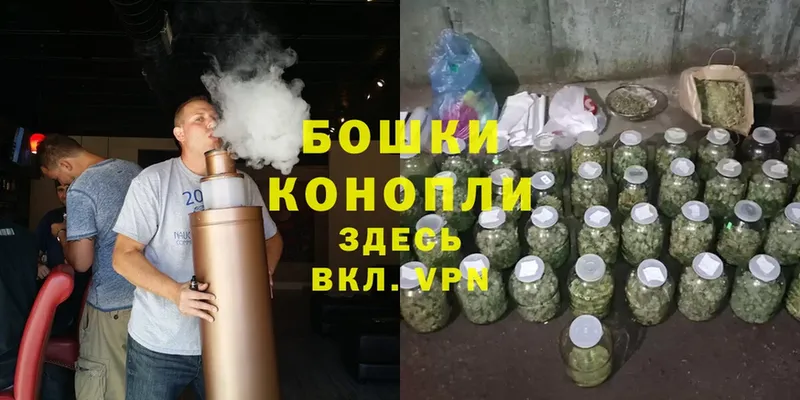 что такое   Лиски  Марихуана OG Kush 